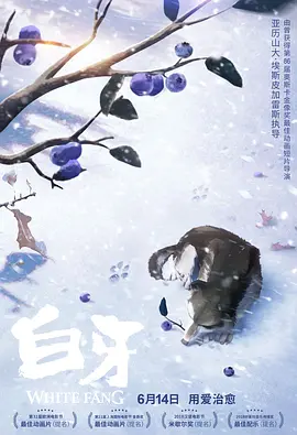 中国男gary帅西北君君